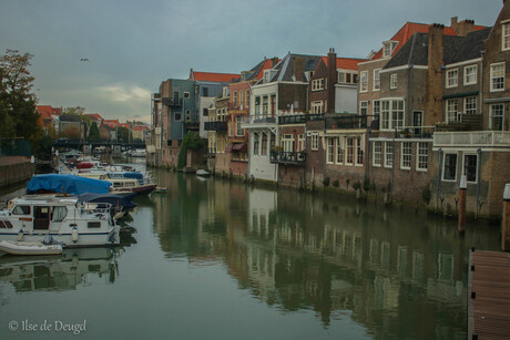 Wijnhaven