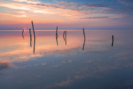 Tussen golven en getij