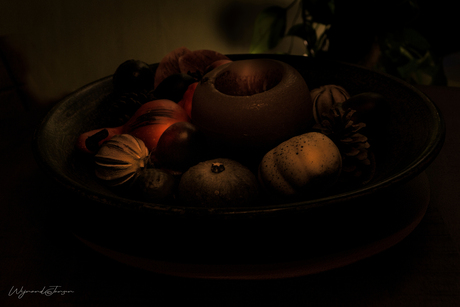 Still life in dark days