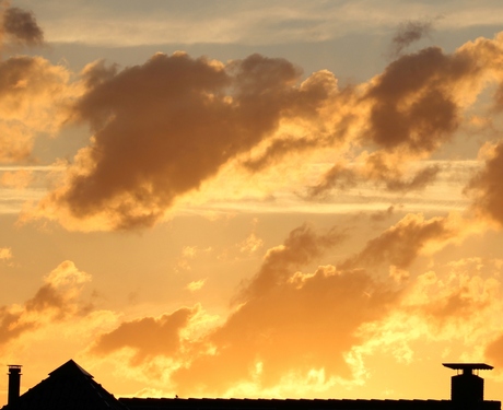 Petit oiseau sur te toit, nuages et soleil.