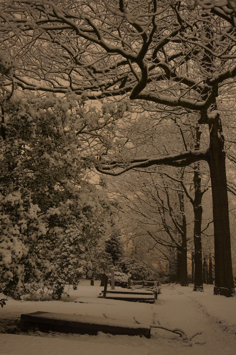 graveyard at night