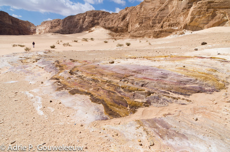 Sinai white canyon