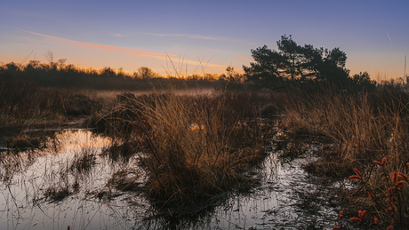 Van water tot veen, in de ochtend straalt het altijd rust uit