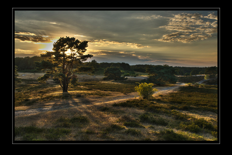 De heide gaat slapen