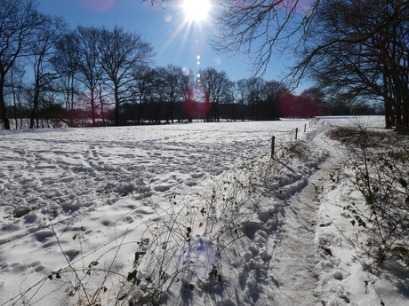 Winter Oud Avereest