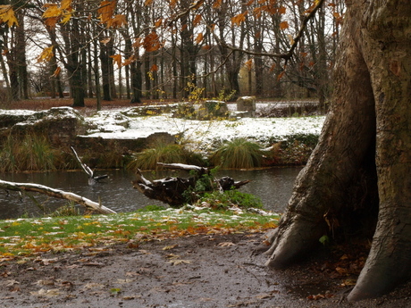 Hemmen, holleboom