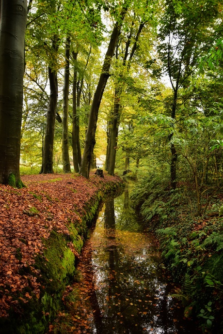 Herfst op de Wamberg