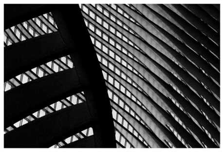 Lines of Calatrava