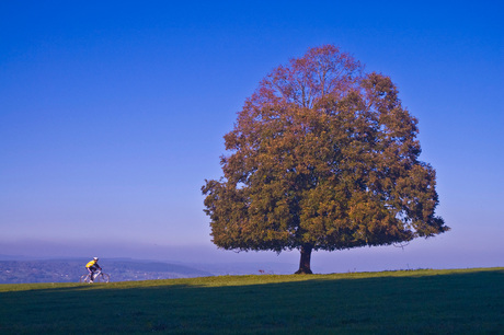 Bike Ardennen