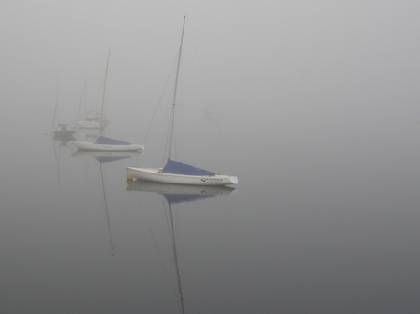 misty Loch Lynn