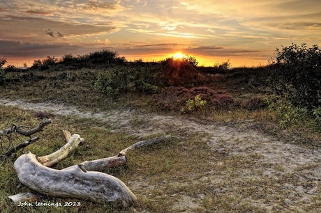 Schoorlse duinen