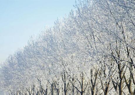 Rossum in de winter