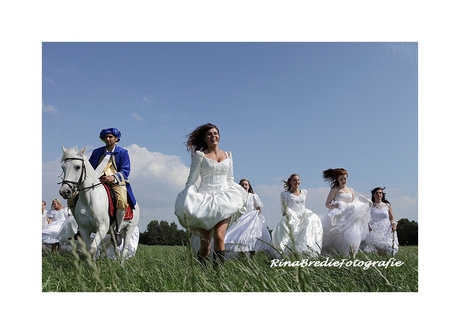 Trash The Dress