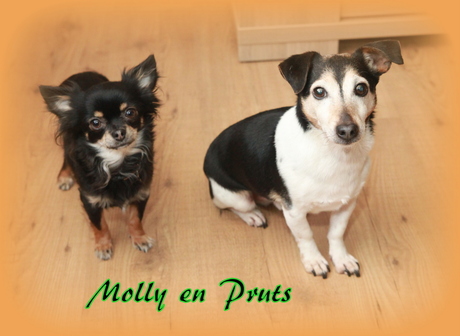 Molly en Pruts