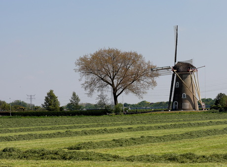 Molen in Zoelen