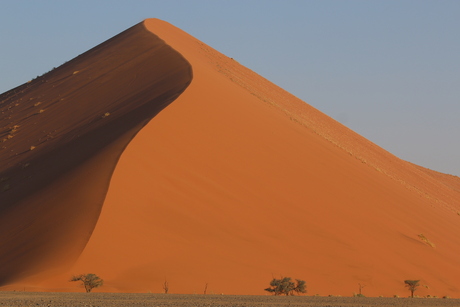 Namibia Namib Desert
