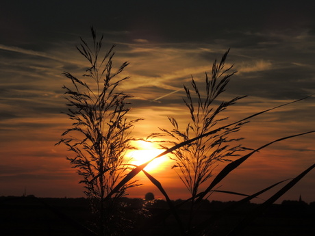 ondergaande zon