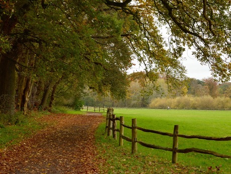 Herfstwandeling