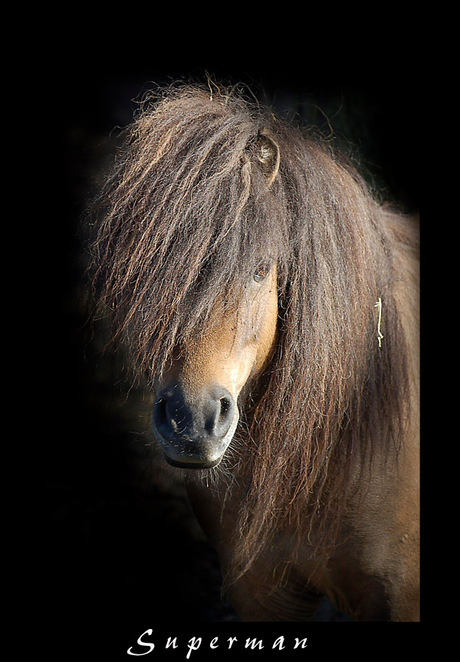 Stoere jongen