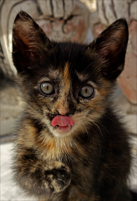 Het achterste van je tong laten zien