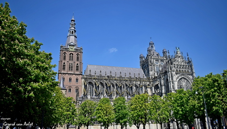 Sint Jan's kathedraal 's-Hertogenbosch