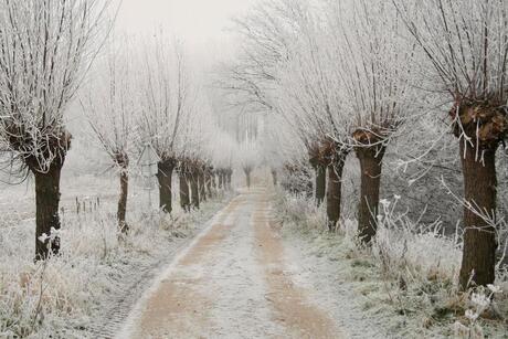 wintersteeg