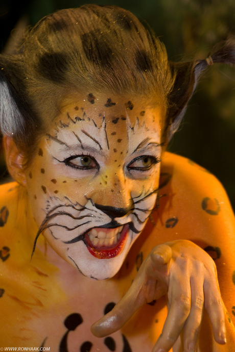 Zoom Experience 2010