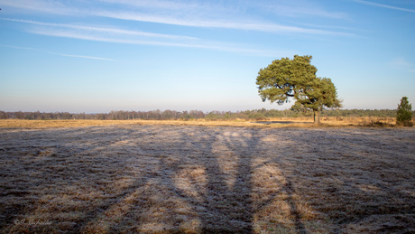 op de havelterberg