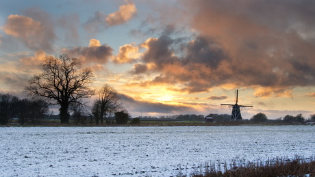 Winterse Eschmolen Delden