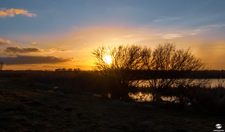 Landschap 