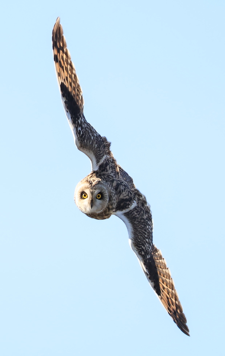 Daar komt ie aan....