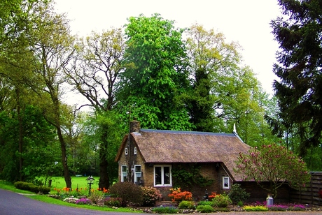Petite maison genre Hansel & Gretel