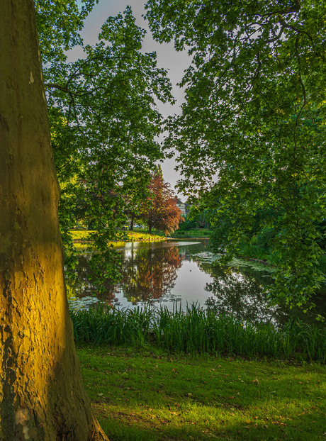 Wilhelminapark Breda - foto Jan Korebrits