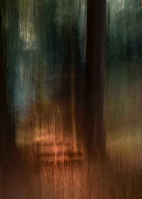 Pompoenen in het park