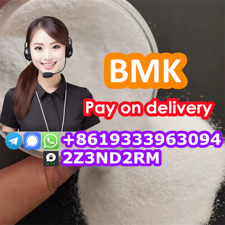 High Quality Glycidic Acid (sodium salt) BMK CAS 5449-12-7 Powder