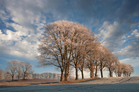 landschapje