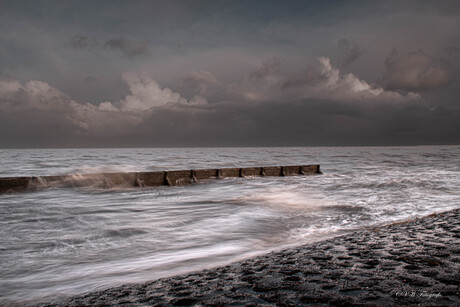 waddenzee