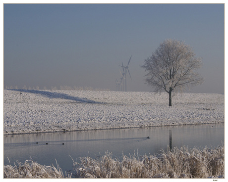 Winter in de Botlek