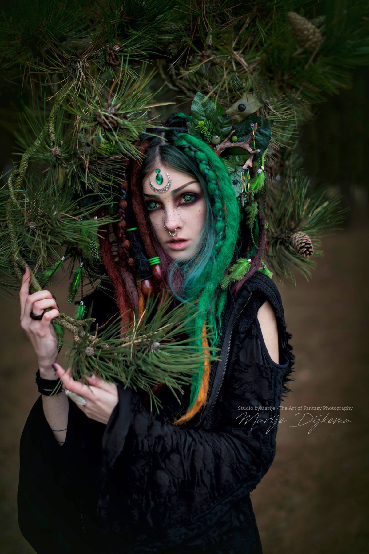 Forestnymph