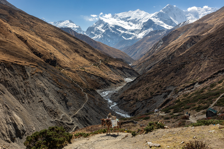 Annapurna trek