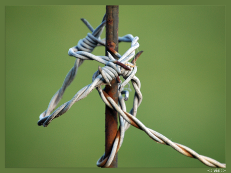 Boerderij (3) - Wired