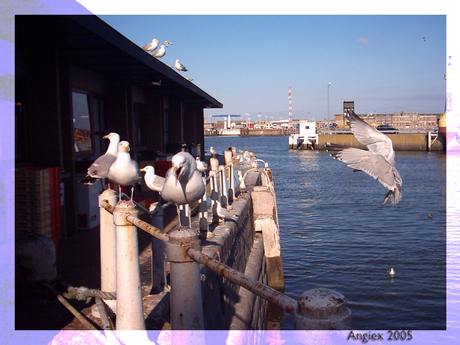 Oostende