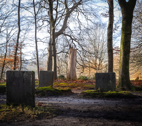 begraafplaats  huisdieren    in  HET LOOPARK