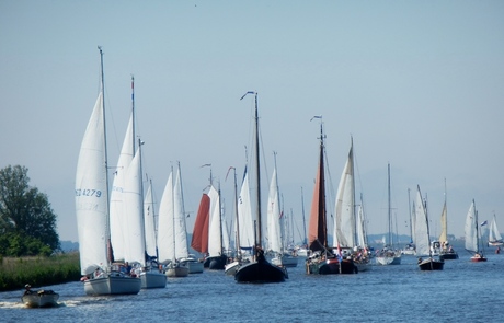 zeilboten tijdens de Pinksteren in Friesland