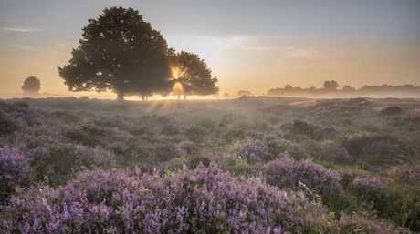 Takkenhoogte Zuidwolde