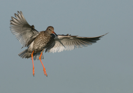 Landing