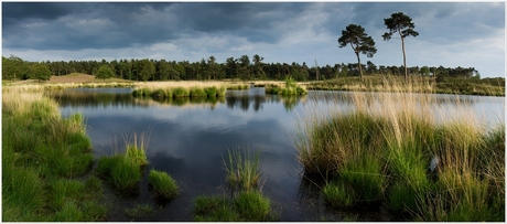 Pano Overasseltse Vennen