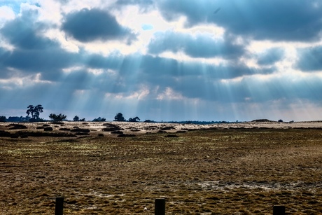 zonnestralen- de Hoge Veluwe