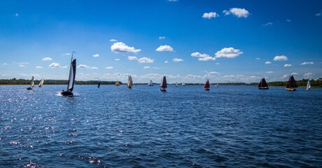 Zeilwedstrijd