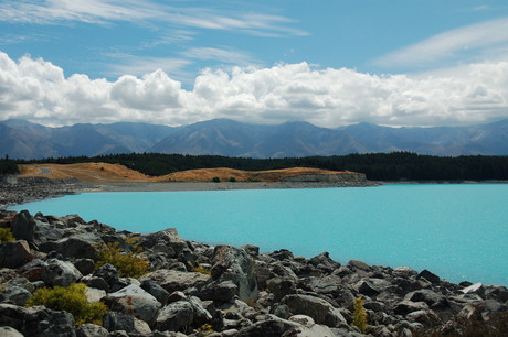 Spiegel Lake Pukaki